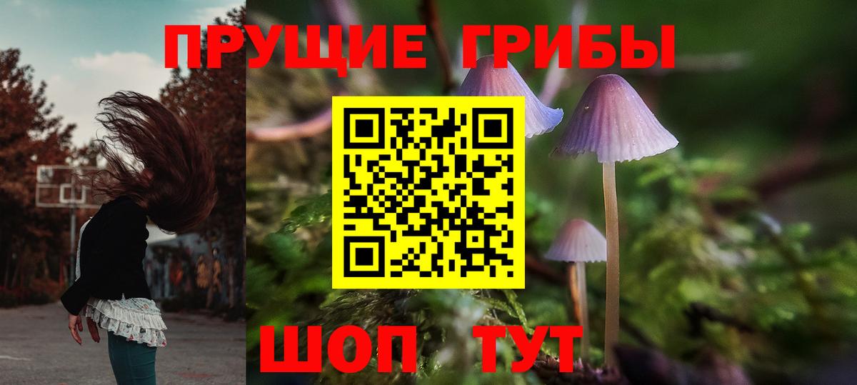 Галлюциногенные грибы ЛСД  продажа наркотиков  Вход с VPN  Мичуринск  Галлюциногенные грибы GOLDEN TEACHER 